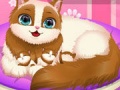 Spēle Cute Kitty Pregnant