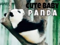 Spēle Cute Baby Panda