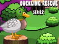 Spēle Duckling Rescue Series1