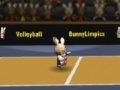Spēle Bunny volleyball