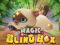 Spēle Magic Blind Box