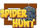 Spēle Spider Hunt