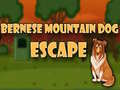 Spēle Bernese Mountain Dog Escape
