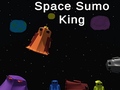 Spēle Space Sumo King