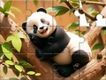 Spēle Jigsaw Puzzle: Panda On Tree