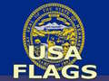Spēle Usa Flags 