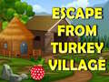 Spēle Escape From Turkey Village