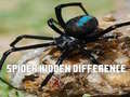 Spēle Spider Hidden Difference