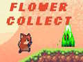 Spēle Flower Collect