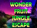Spēle Wonder Fruit Jungle Escape