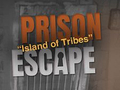 Spēle Prison Escape: Island of Tribes