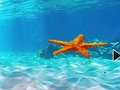 Spēle Escape From Underwater Starfish