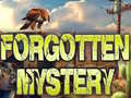 Spēle Forgotten Mystery