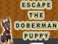 Spēle Escape The Doberman Puppy