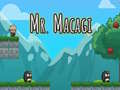 Spēle Mr Macagi