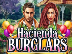 Spēle Hacienda Burglars