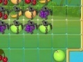 Spēle Collect fruit