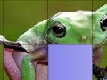 Spēle Frog Slide Puzzle