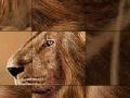 Spēle Big brave lion slide puzzle