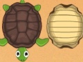 Spēle Guess the turtle