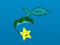 Spēle Star Fish