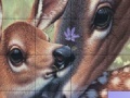 Spēle Deers and Lovely Day Slide Puzzle