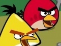 Spēle Memory - Angry Birds