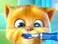 Spēle Talking Ginger