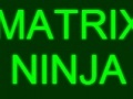 Spēle Matrix Ninja
