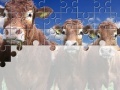 Spēle Gorgeous Cows Jigsaw