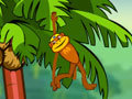 Spēle Spider Monkey