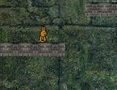 Spēle Bunny Adventure