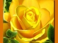 Spēle Yellow Roses