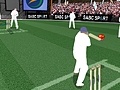Spēle Cricket
