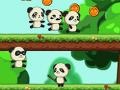 Spēle Panda Shock Troop 