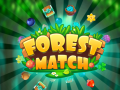 Spēle Forest Match