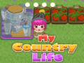 Spēle My County Life