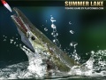 Spēle Summer Lake