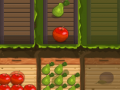 Spēle Fruit Gardener