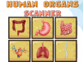 Spēle Human Organs Scanner