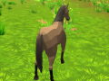Spēle Horse Simulator 3D