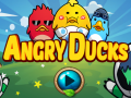 Spēle Angry Ducks