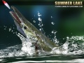 Spēle Summer Lake 1.5