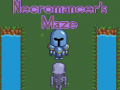 Spēle Necromancer's Maze
