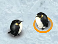Spēle Save the egg