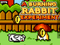 Spēle A Burning Rabbit Experiment