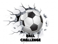 Spēle Ball Challenge