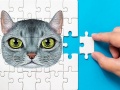 Spēle Abyssinian Puzzle Challenge