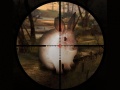 Spēle Classical Rabbit Sniper Hunting 2019