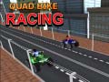 Spēle Quad Bike Racing